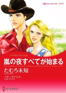 嵐の夜すべてが始まる 3話(分冊版) 電子書籍版