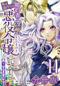 婚約者が浮気しているようなんですけど私は流行りの悪役令嬢ってことであってますか?【分冊版】14 電子書籍版