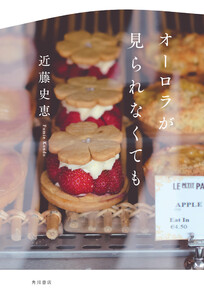 オーロラが見られなくても 電子書籍版