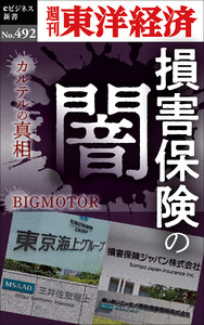 損害保険の闇―週刊東洋経済eビジネス新書No.492 電子書籍版