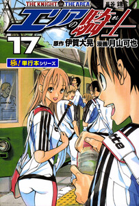 エリアの騎士【極!単行本シリーズ】17巻 電子書籍版