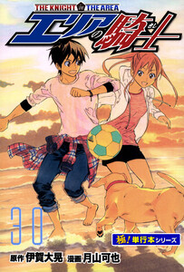 エリアの騎士【極!単行本シリーズ】30巻 電子書籍版