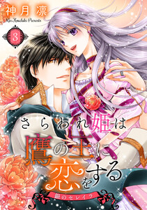 さらわれ姫は鷹の王に恋をする 銀のセレイラ (3) 電子書籍版
