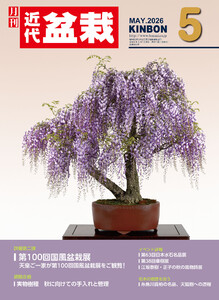 近代盆栽2026年5月号
