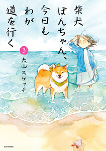 柴犬ぽんちゃん、今日もわが道を行く3