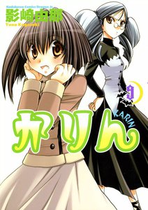 かりん (9) 電子書籍版