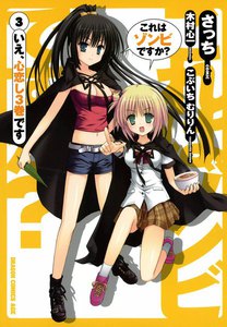 これはゾンビですか? (3) 電子書籍版