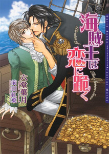 海賊王シリーズ