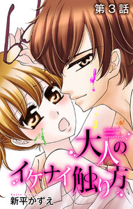 大人のイケナイ触り方【ばら売り】 第3話 電子書籍版