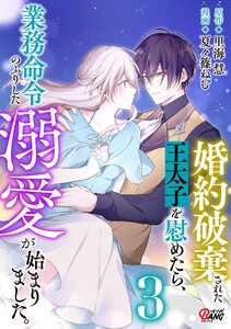 婚約破棄された王太子を慰めたら、業務命令のふりした溺愛が始まりました。 (3)
