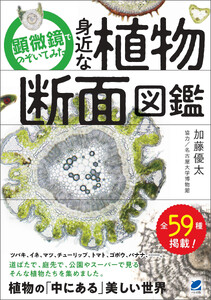 顕微鏡でのぞいてみた 身近な植物断面図鑑