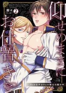仰せのままにお仕置きを～Sub王子はDom騎士の腕の中(2) 電子書籍版