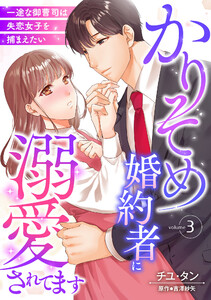 かりそめ婚約者に溺愛されてます～一途な御曹司は失恋女子を捕まえたい～【分冊版】3話 電子書籍版