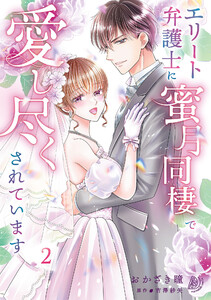 エリート弁護士に蜜月同棲で愛し尽くされています 2 電子書籍版