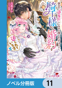 夜会で『適当に』ハンカチを渡しただけなのに、騎士様から婚約を迫られています【ノベル分冊版】 11 電子書籍版
