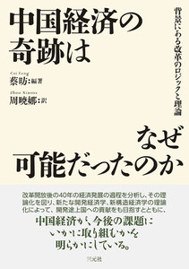 中国経済の奇跡はなぜ可能だったのか 電子書籍版