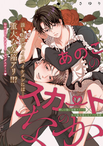 あのこのスカートのなか Lesson.3