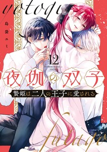 夜伽の双子―贄姫は二人の王子に愛される― (12)