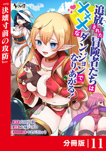 追放された冒険者たちはXXXなダンジョンでなりあがる!【分冊版】11