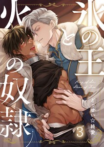 氷の王と火の奴隷(3) 電子書籍版