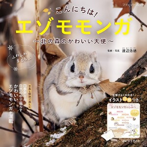 こんにちは!エゾモモンガ
