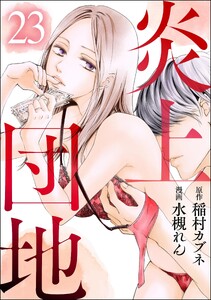 炎上団地(分冊版) 【第23話】