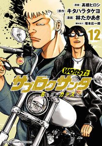 WORST外伝 サブロクサンタ 名もなきカラスたち (12)