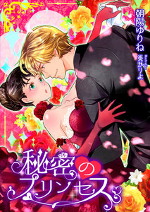 秘密のプリンセス