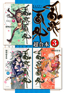 乱飛乱外 超合本版 (3) 電子書籍版