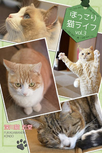 ほっこり猫ライフ vol.3 電子書籍版