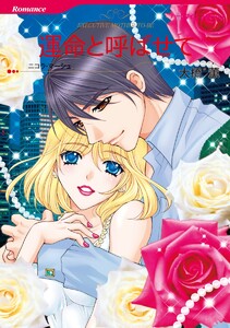 一夜の情事テーマセット