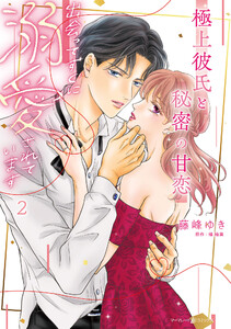 極上彼氏と秘密の甘恋～出会ってすぐに溺愛されています～ 2
