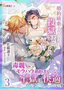 婚約破棄されたうえに投獄された令嬢ですが、毒親もモラハラ婚約者もいない牢獄は快適です(3)【分冊版】3 電子書籍版