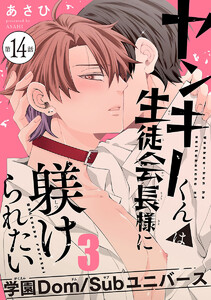 ヤンキーくんは生徒会長様に躾けられたい #14