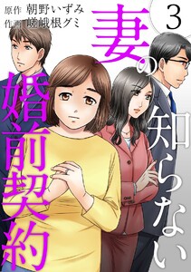 妻の知らない婚前契約 (3) 電子書籍版
