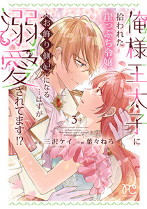 俺様王太子に拾われた崖っぷち令嬢、お飾り側妃になる…はずが溺愛されてます!? (3)