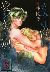 きみは僕に愛を突き刺す (3) 電子書籍版