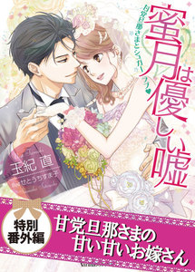 蜜月は優しい嘘~甘党旦那さまとシュガーラブ~