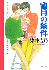 蜜月の条件 嘘つきの恋(2) 電子書籍版
