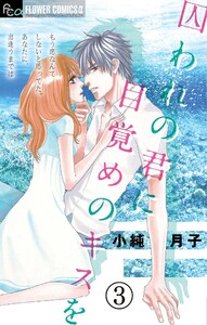 囚われの君に 目覚めのキスを【マイクロ】 (3) 電子書籍版