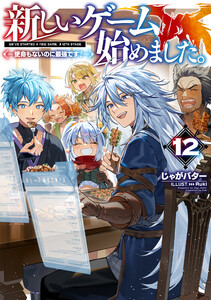 新しいゲーム始めました。～使命もないのに最強です?～12【電子書籍限定書き下ろしSS付き】