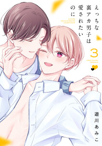 えっちな裏アカ男子は愛されたいのに (3)【おまけ描き下ろし付き】