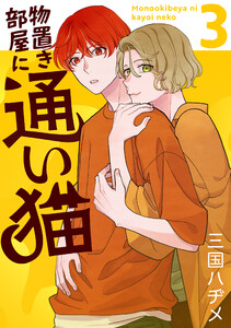 物置き部屋に通い猫 (3)【おまけ描き下ろし付き】