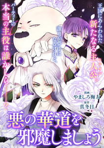 悪の華道を行きましょう (30) 悪の華道を邪魔しましょう1