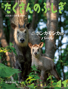 ニホンカモシカのパール(たくさんのふしぎ2025年11月号) 電子書籍版