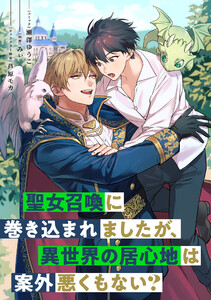 聖女召喚に巻き込まれましたが、異世界の居心地は案外悪くもない? 【連載版】 (9)