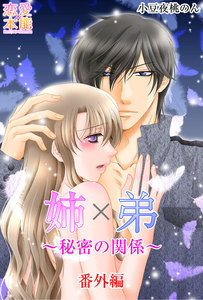 姉×弟~秘密の関係~