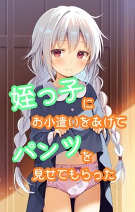 姪っ子にお小遣いをあげてパンツを見せてもらった 電子書籍版