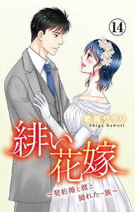 緋い花嫁～契約婚と彼と拗れた一族～ (14)