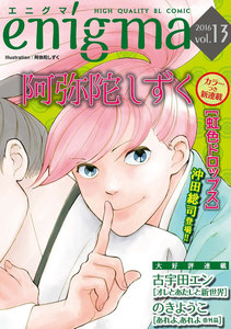 enigma vol.13 電子書籍版